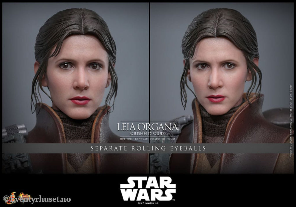 Star Wars Episode VI Movie Masterpiece Action Figure 1/6 Leia Organa (Boushh Disguise) 27 cm Toys