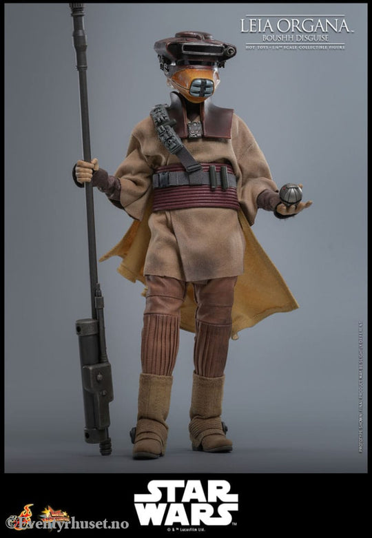 Star Wars Episode VI Movie Masterpiece Action Figure 1/6 Leia Organa (Boushh Disguise) 27 cm Toys
