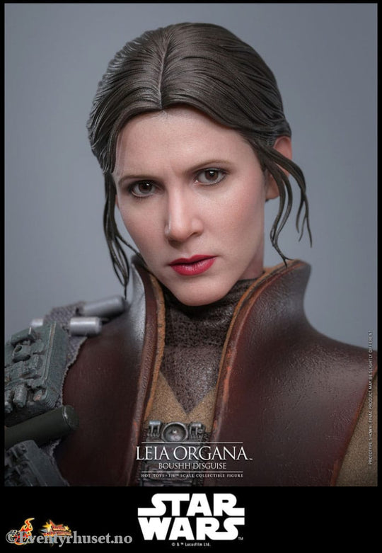 Star Wars Episode VI Movie Masterpiece Action Figure 1/6 Leia Organa (Boushh Disguise) 27 cm Toys