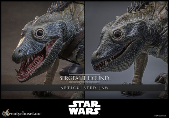 Star Wars: The Clone Wars Action Figure 1/6 Sergeant Hound 30 cm Toys