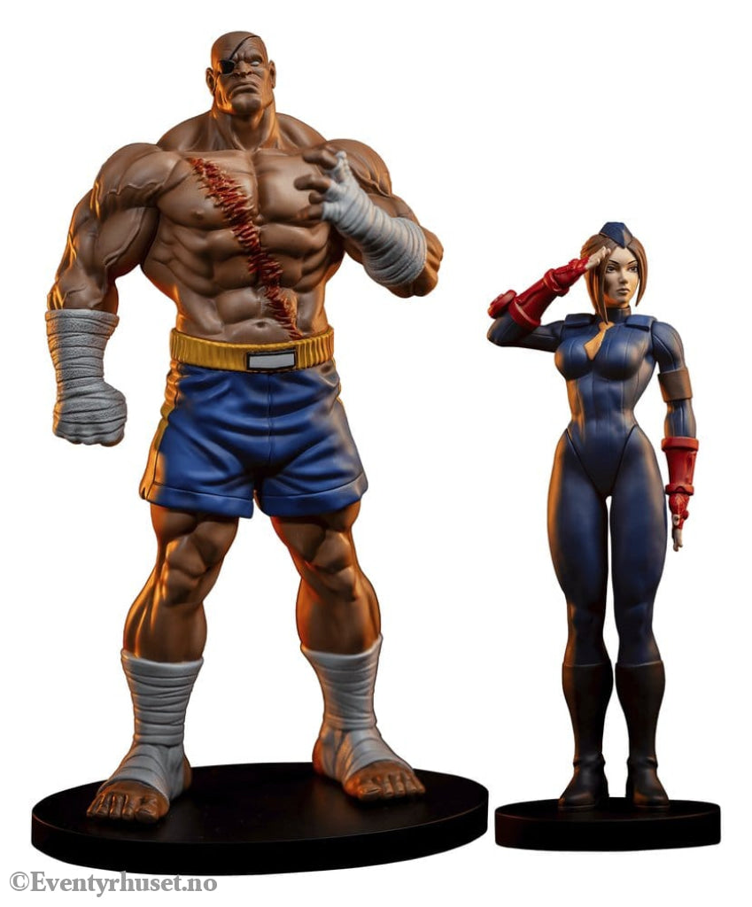 Street Fighter Street Jam Statuen 1/10 Sagat & Juli 24 cm Collectibles