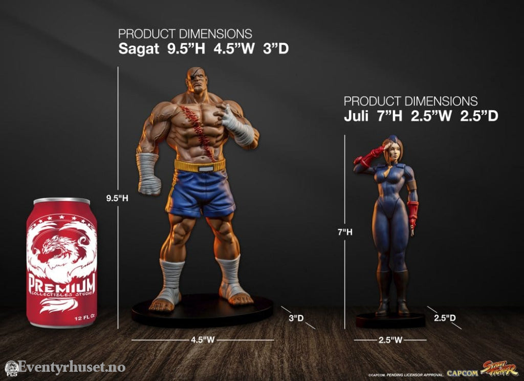 Street Fighter Street Jam Statuen 1/10 Sagat & Juli 24 cm Collectibles