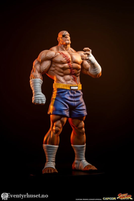 Street Fighter Street Jam Statuen 1/10 Sagat & Juli 24 cm Collectibles