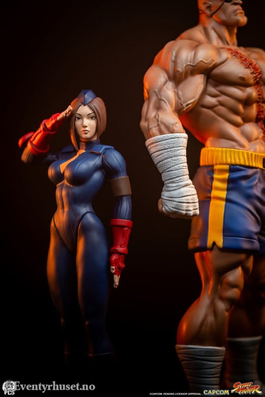 Street Fighter Street Jam Statuen 1/10 Sagat & Juli 24 cm Collectibles