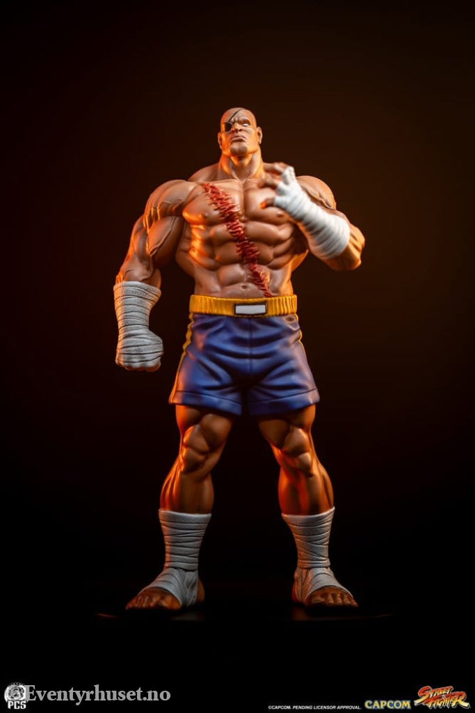 Street Fighter Street Jam Statuen 1/10 Sagat & Juli 24 cm Collectibles