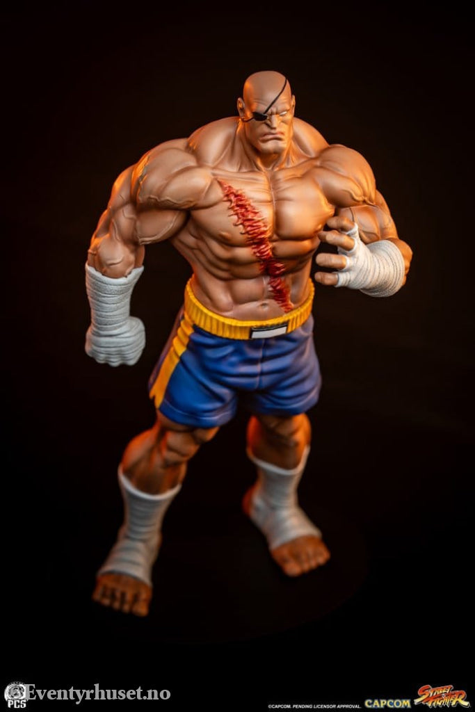 Street Fighter Street Jam Statuen 1/10 Sagat & Juli 24 cm Collectibles