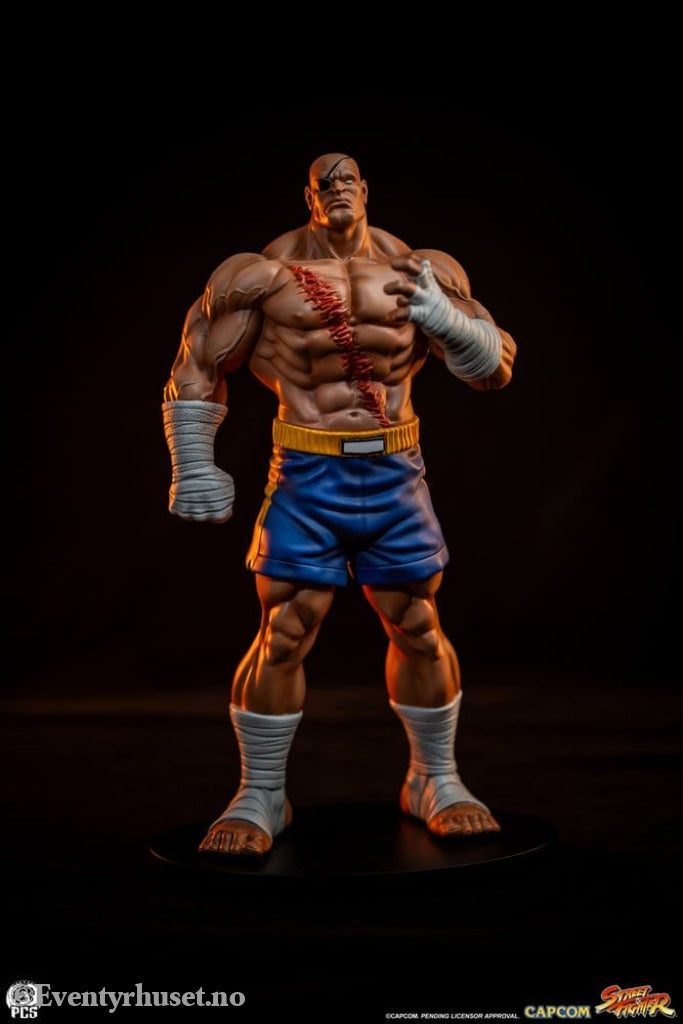 Street Fighter Street Jam Statuen 1/10 Sagat & Juli 24 cm Collectibles