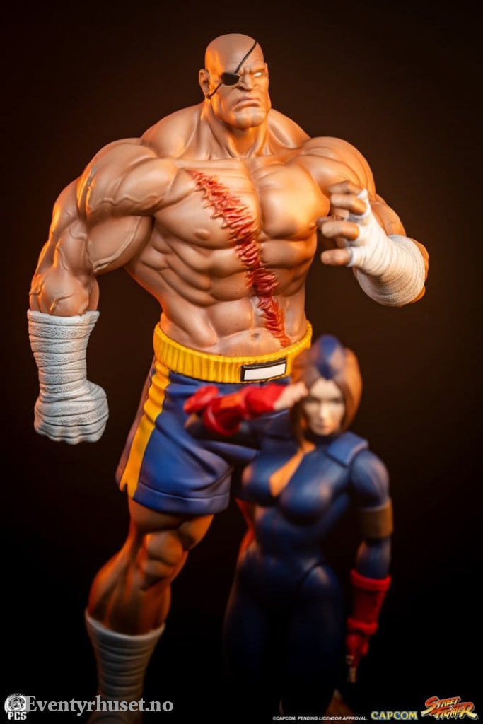Street Fighter Street Jam Statuen 1/10 Sagat & Juli 24 cm Collectibles