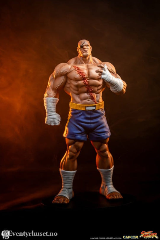 Street Fighter Street Jam Statuen 1/10 Sagat & Juli 24 cm Collectibles