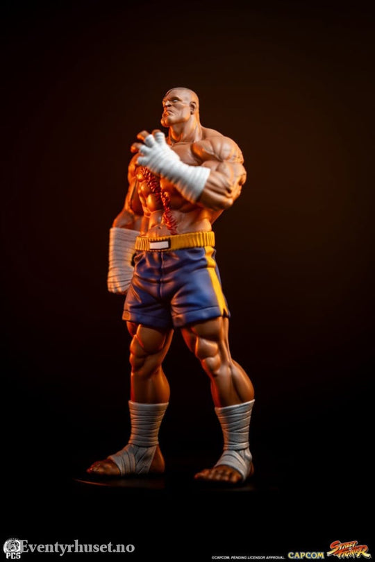 Street Fighter Street Jam Statuen 1/10 Sagat & Juli 24 cm Collectibles