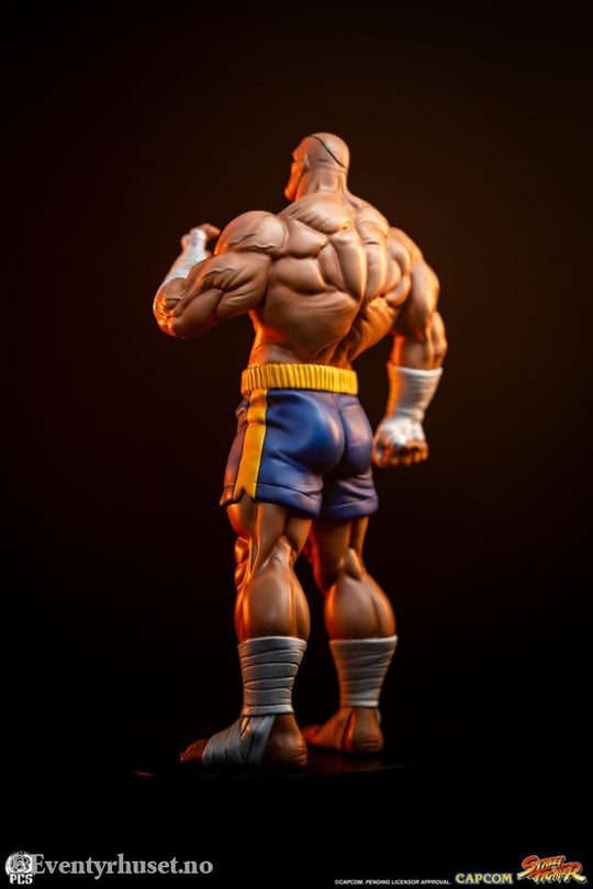 Street Fighter Street Jam Statuen 1/10 Sagat & Juli 24 cm Collectibles
