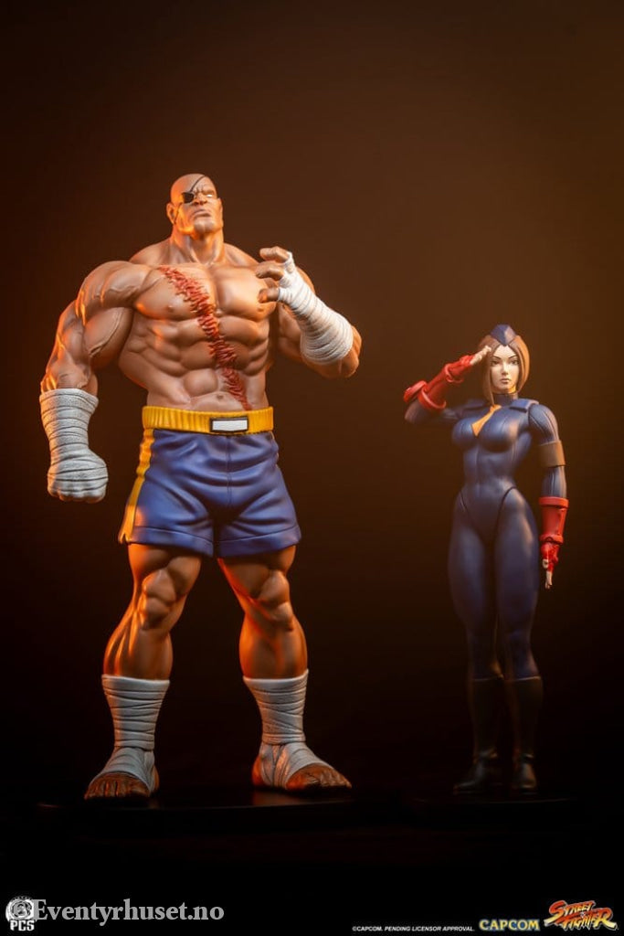 Street Fighter Street Jam Statuen 1/10 Sagat & Juli 24 cm Collectibles