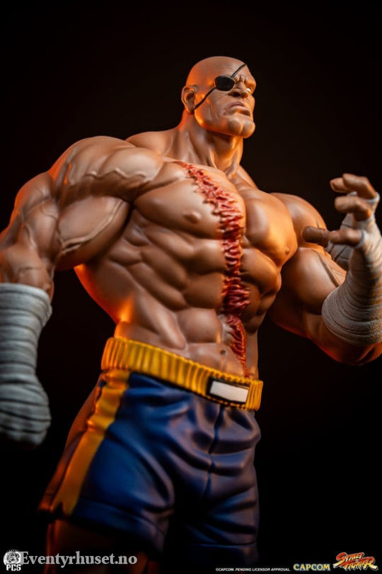 Street Fighter Street Jam Statuen 1/10 Sagat & Juli 24 cm Collectibles
