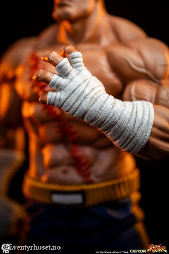 Street Fighter Street Jam Statuen 1/10 Sagat & Juli 24 cm Collectibles