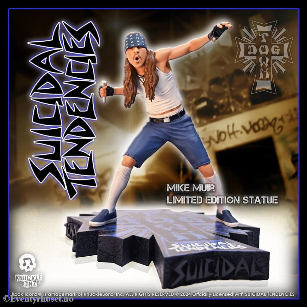 Suicidal Tendencies Rock Iconz Statue Mike Muir 22 cm Collectibles