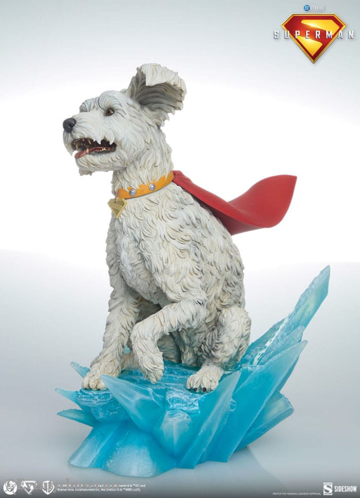 Superman (2025) Premium Format Statues Superman 61 cm & Krypto 23 cm Bundle (2) Collectibles