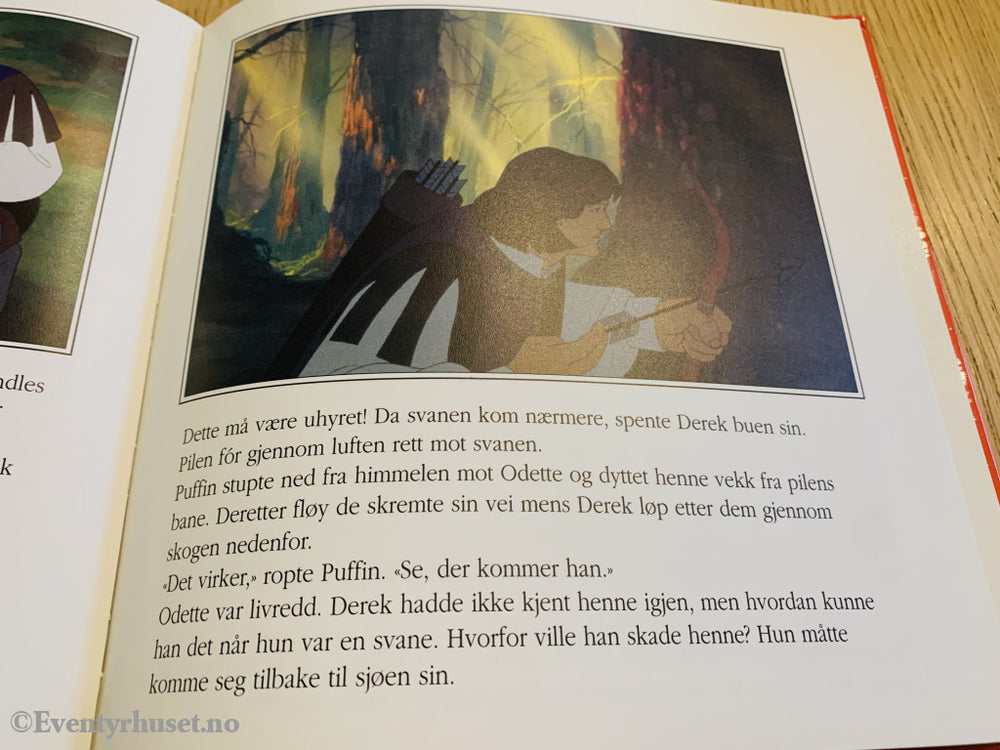 Svaneprinsessen. 1994/96. Fortelling