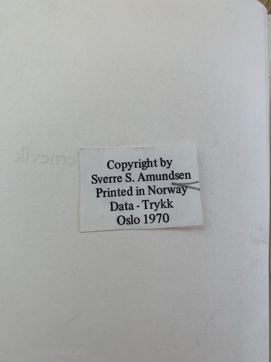 Sverre S. Amundsen. 1970. Guttene I Ternevik. Fortelling