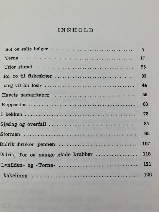 Sverre S. Amundsen. 1970. Guttene I Ternevik. Fortelling