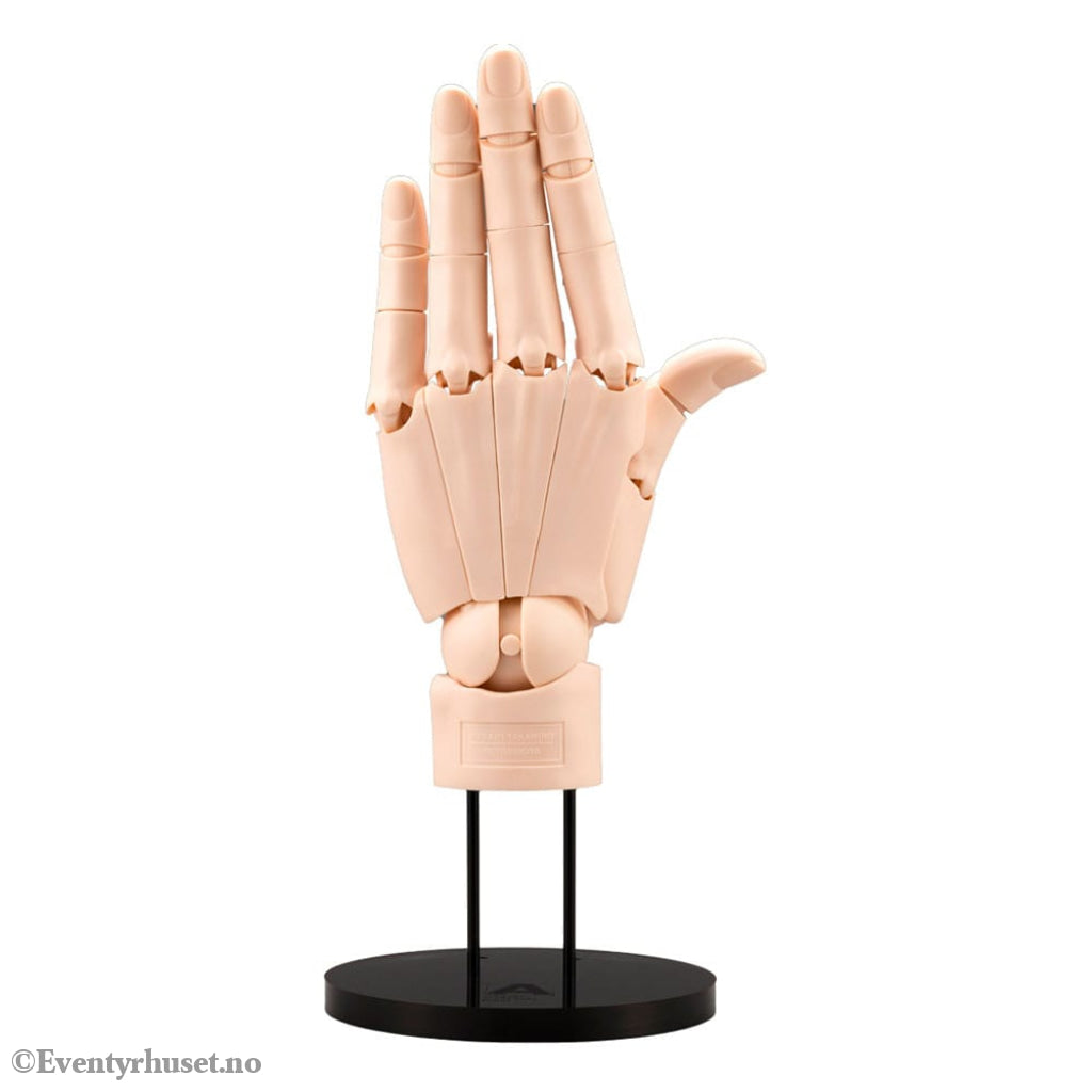 Takahiro Kagami PVC Artist Support Item Hand 1/1 Model/L Pale Orange 21 cm Collectibles