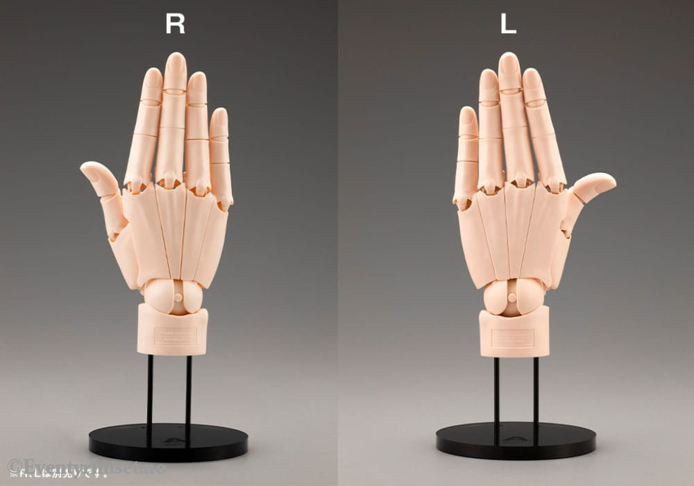 Takahiro Kagami PVC Artist Support Item Hand 1/1 Model/L Pale Orange 21 cm Collectibles