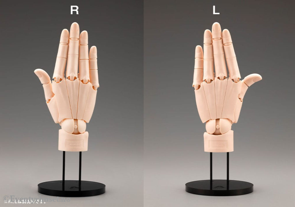 Takahiro Kagami PVC Artist Support Item Hand 1/1 Model/L Pale Orange 21 cm Collectibles