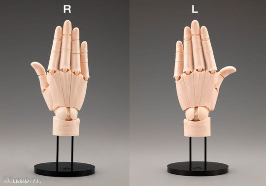 Takahiro Kagami PVC Artist Support Item Hand 1/1 Model/L Pale Orange 21 cm Collectibles