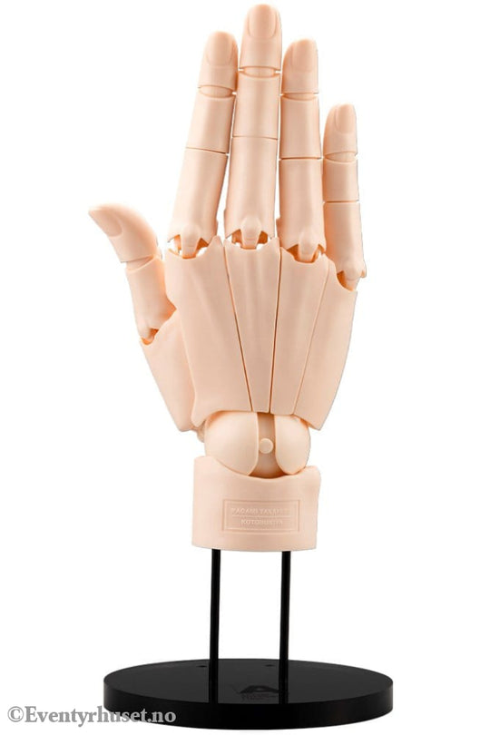 Takahiro Kagami PVC Artist Support Item Hand 1/1 Model/R Pale Orange 21 cm Collectibles