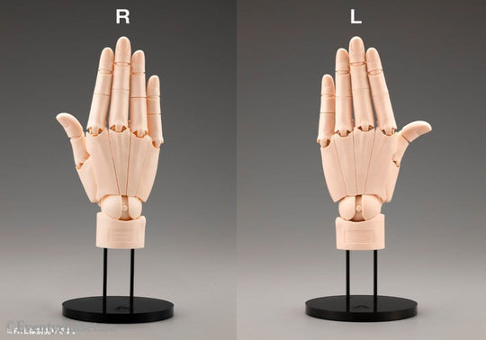 Takahiro Kagami PVC Artist Support Item Hand 1/1 Model/R Pale Orange 21 cm Collectibles