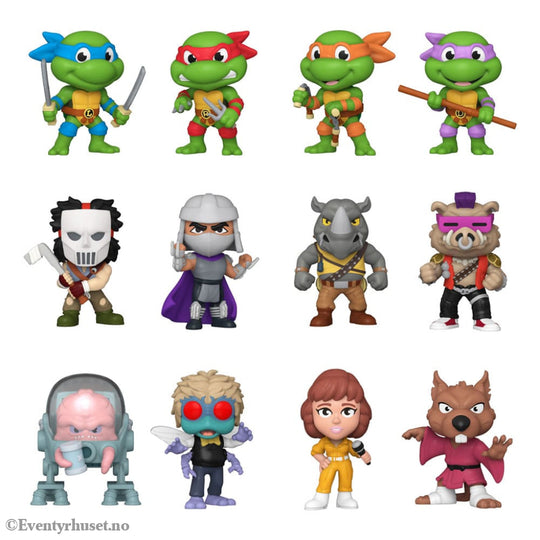 Teenage Mutant Ninja Turtles Mystery Mini Figures 5 cm Display (12) Collectibles