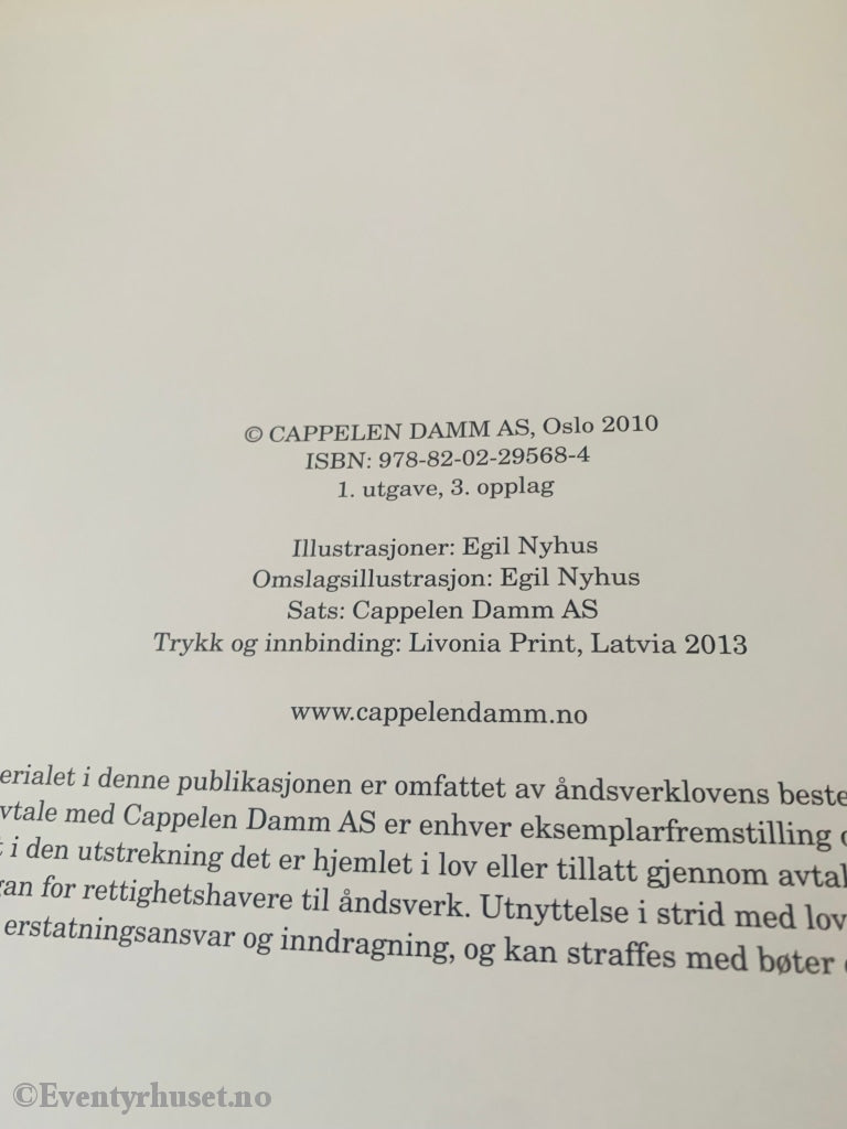 Terje Formoe. Pinky Og Sunniva I Kaptein Sabeltanns Verden. Fortelling
