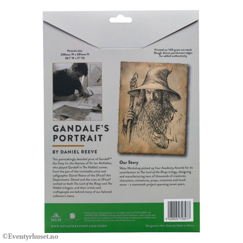 The Hobbit Art Print Portrait of Gandalf the Grey 21 x 28 cm Collectibles
