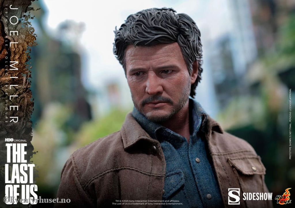 The Last of Us Action Figure 1/6 Joel Miller 30 cm Toys