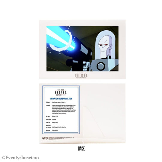 The New Batman Adventure DC Direct 1/6 Action Figure Mr. Freeze 15 cm Toys