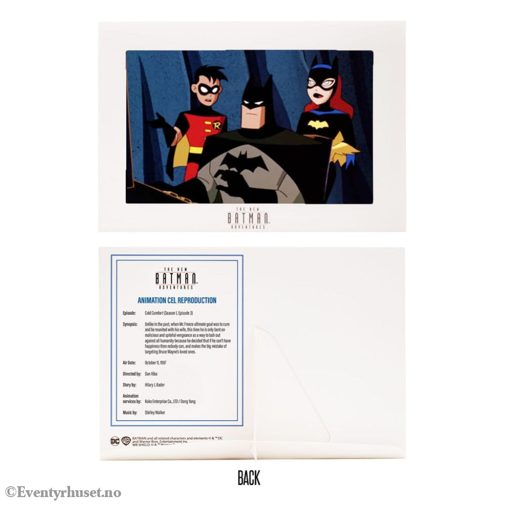 The New Batman Adventures DC Multiverse McFarlane Collector Edition Action Figures Wave 5 18 cm assortment (6) Toys
