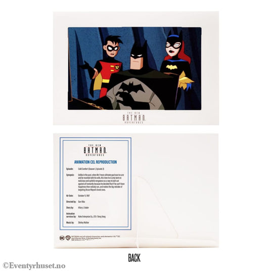 The New Batman Adventures DC Multiverse McFarlane Collector Edition Action Figures Wave 5 18 cm assortment (6) Toys