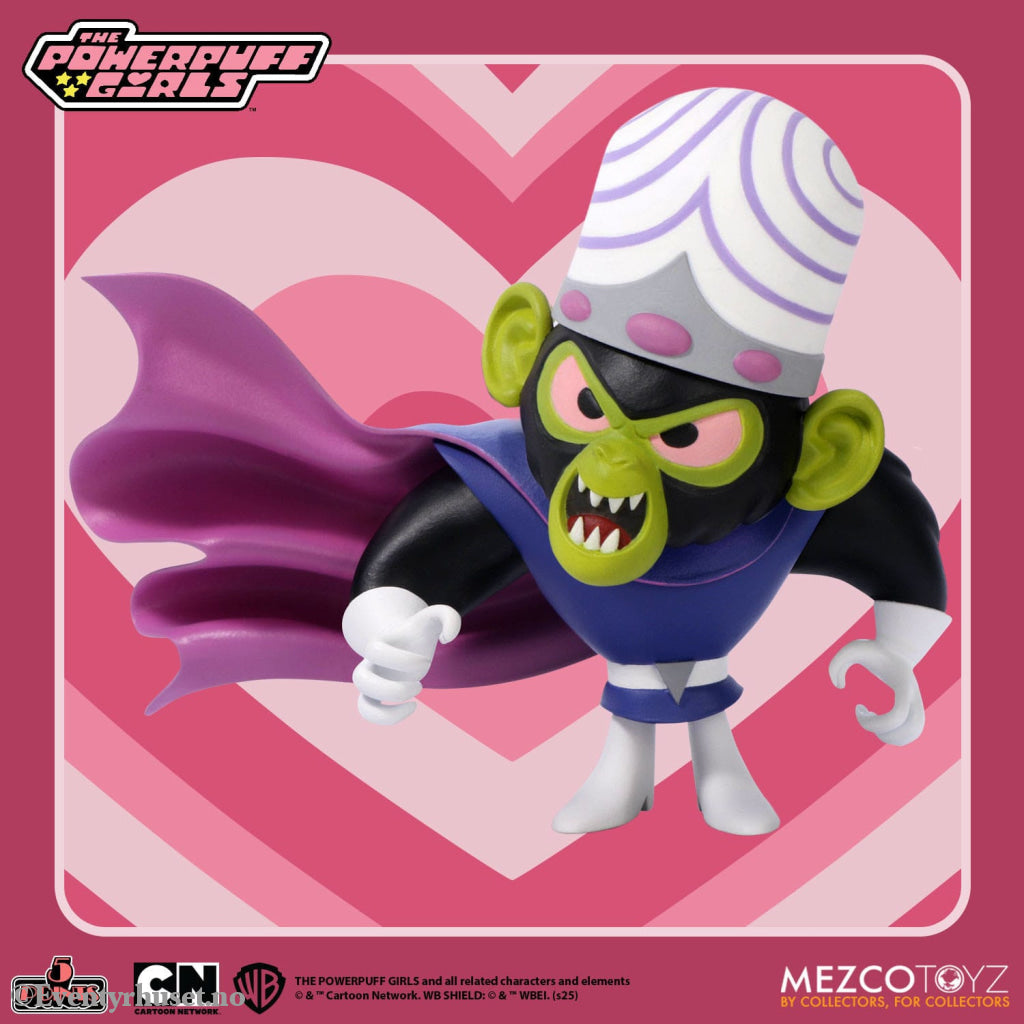 The Powerpuff Girls Christmas Vacation 5 Points Action Figures 10 cm Assortment. Mint In Sealed Box (MISB)! Actionfigur