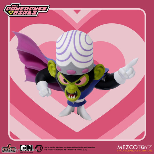 The Powerpuff Girls Christmas Vacation 5 Points Action Figures 10 cm Assortment. Mint In Sealed Box (MISB)! Actionfigur