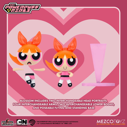 The Powerpuff Girls Christmas Vacation 5 Points Action Figures 10 cm Assortment. Mint In Sealed Box (MISB)! Actionfigur