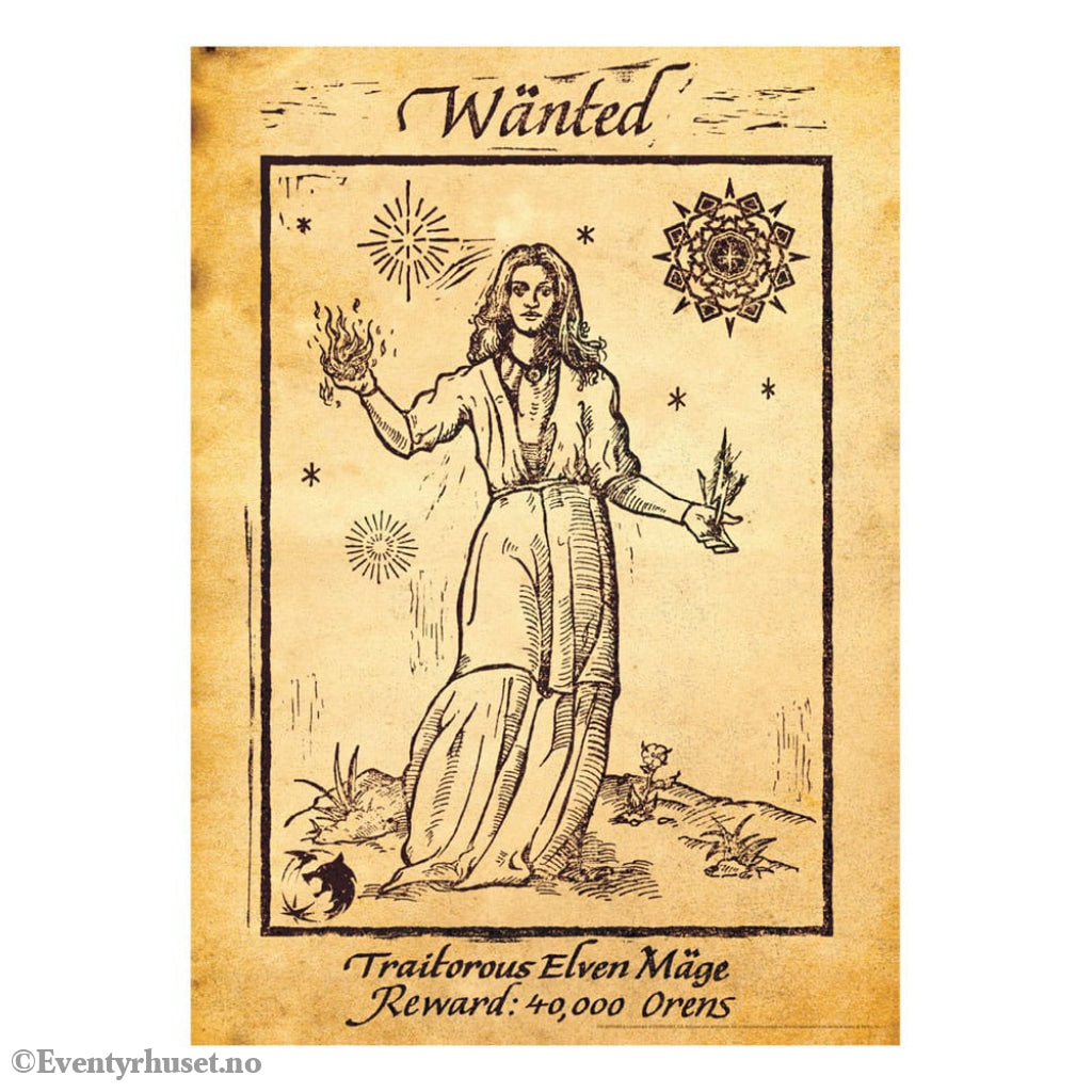 The Witcher Art Print Limited Edition 42 x 30 cm Home & Gifts