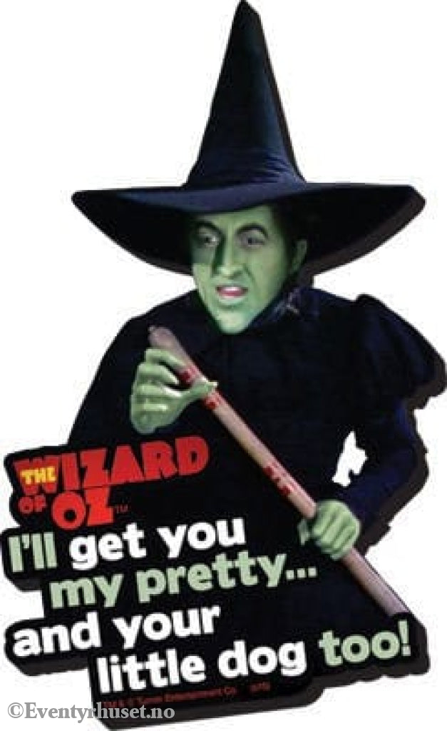 The Wizard of Oz Funky Chunky Magnet I’ll Get You... Home & Gifts