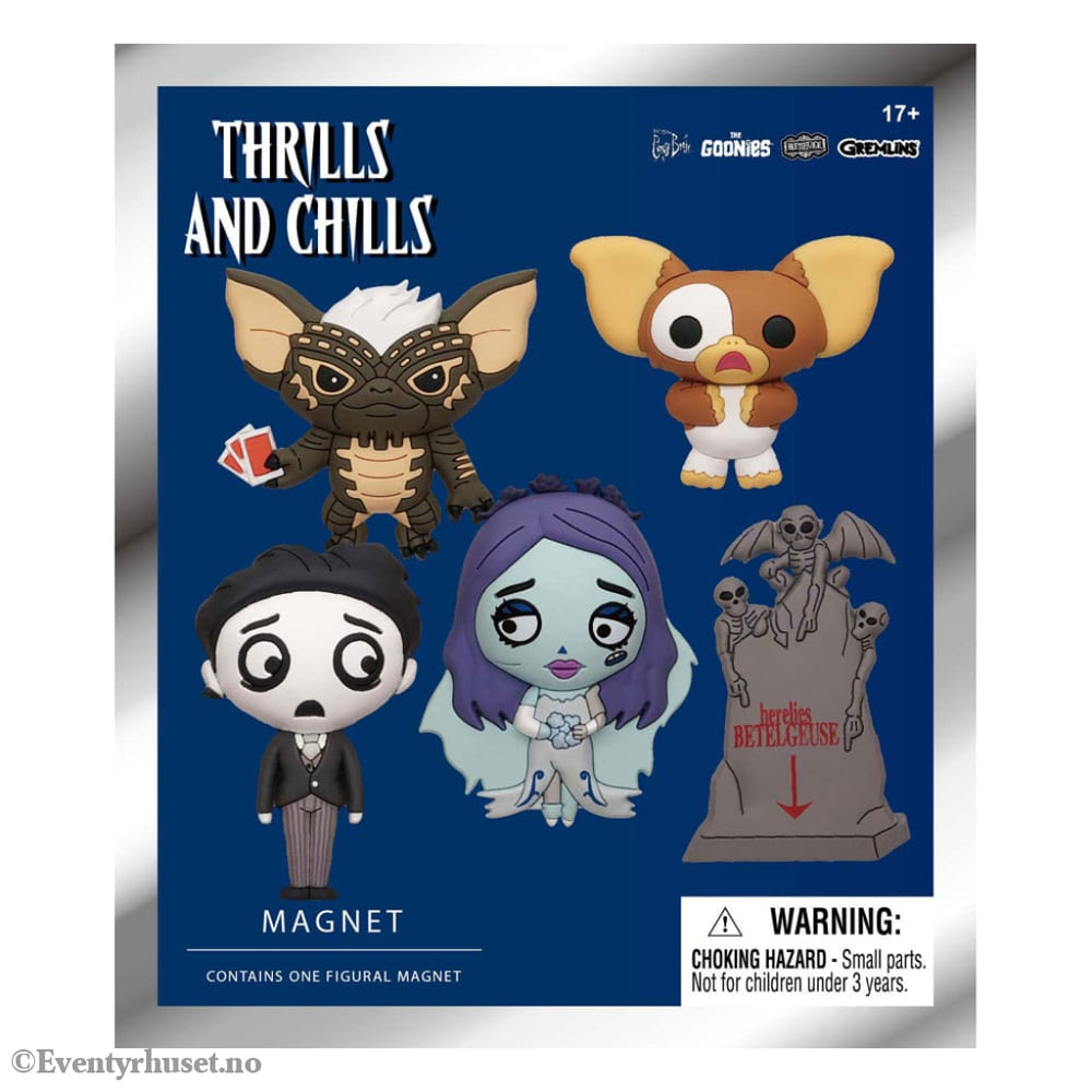Thrills and Chills 3D 3D Magnets Series 1 Display (12) Home & Gifts