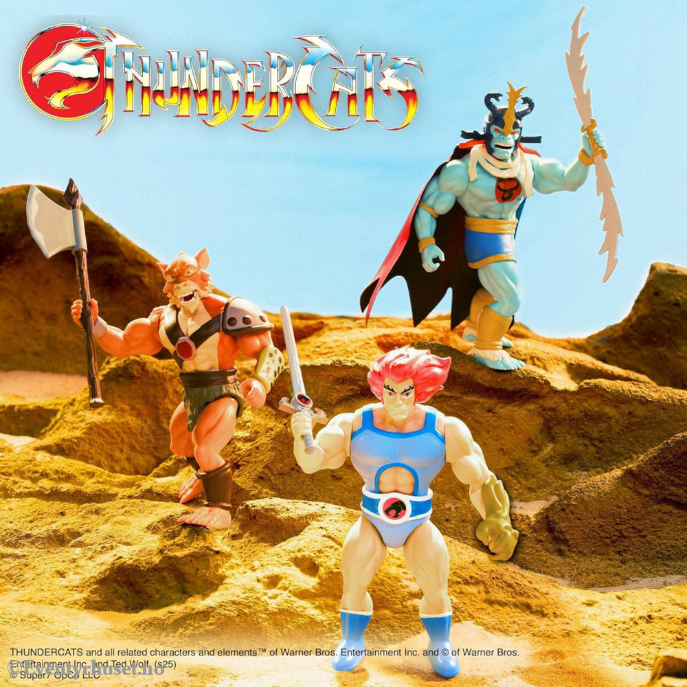 Thundercats Vintage Collection Action Figure Wave 1 Jackalman 14 cm. Mint In Sealed Box (MISB)! Actionfigur