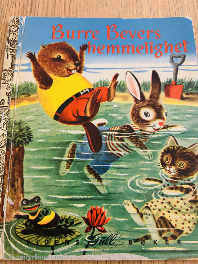 Burre Bevers hemmelighet