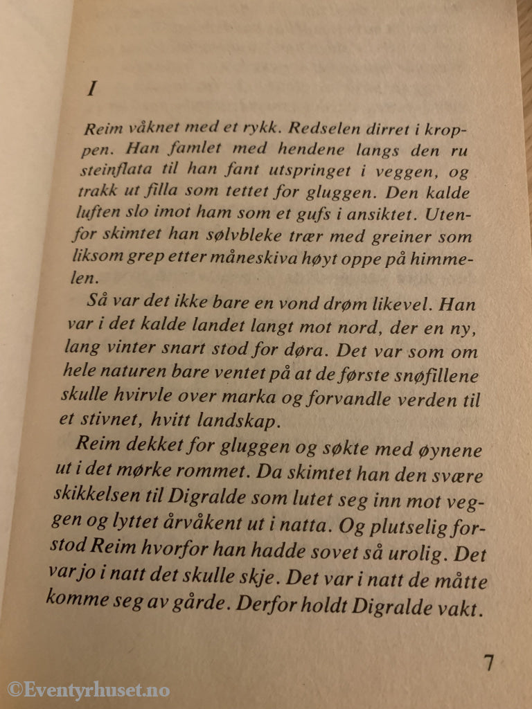 Torill Thorstad Hauger. 1978/88. Røvet Av Vikinger. Fortelling