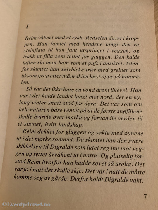 Torill Thorstad Hauger. 1978/88. Røvet Av Vikinger. Fortelling