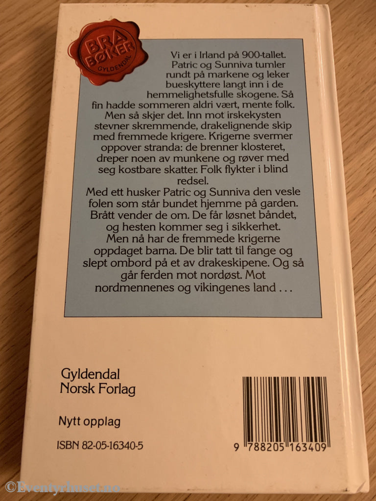 Torill Thorstad Hauger. 1978/88. Røvet Av Vikinger. Fortelling