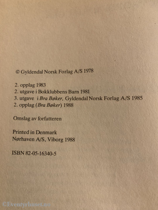 Torill Thorstad Hauger. 1978/88. Røvet Av Vikinger. Fortelling