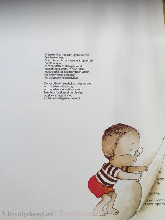 Trond Viggo Torgersen. 1983. Kroppen. Fortelling