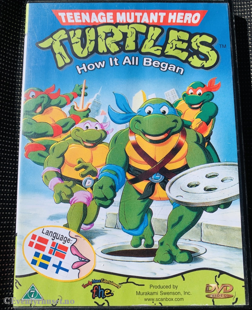 Turtles. How It All Began. Dvd. Dvd
